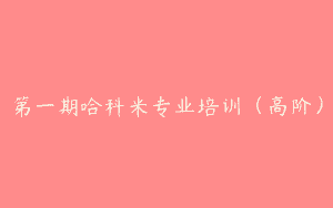 第一期哈科米专业培训（高阶）