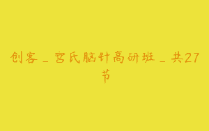 创客_宫氏脑针高研班_共27节
