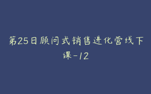 第25日顾问式销售进化营线下课-12