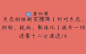 焦虑的阻断实操课【针对焦虑，抑郁，疑病，躯体化】拨开一切迷雾十二分通透14