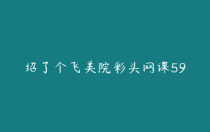 绍了个飞美院彩头网课59