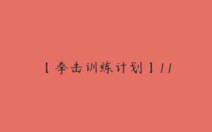 【拳击训练计划】11