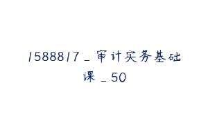 1588817_审计实务基础课_50