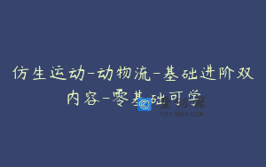 仿生运动-动物流-基础进阶双内容-零基础可学