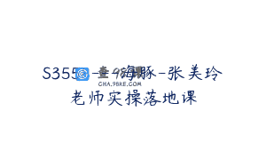 S3558—海豚-张美玲老师实操落地课