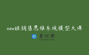 new姐销售思维系统模型大课