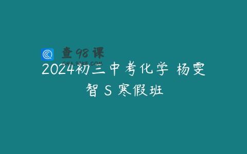 2024初三中考化学 杨雯智 S 寒假班