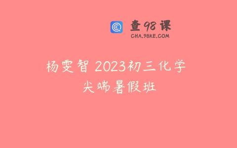杨雯智 2023初三化学 尖端暑假班