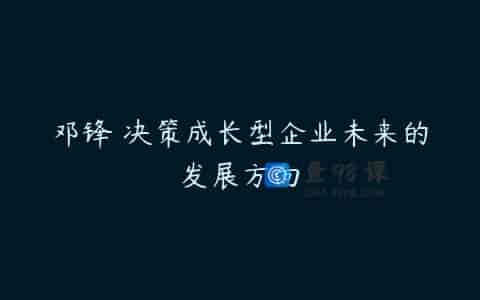 邓锋 决策成长型企业未来的发展方向