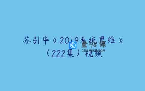 苏引华《2019系统思维》（222集）视频