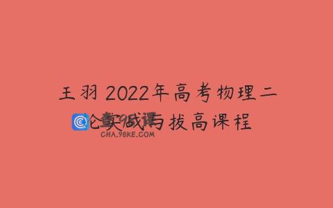 王羽 2022年高考物理二轮实战与拔高课程
