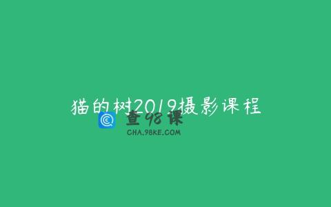 猫的树2019摄影课程