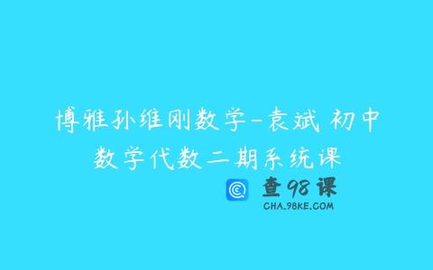 博雅孙维刚数学-袁斌 初中数学代数二期系统课