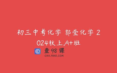 初三中考化学 郭莹化学 2024秋上.A+班