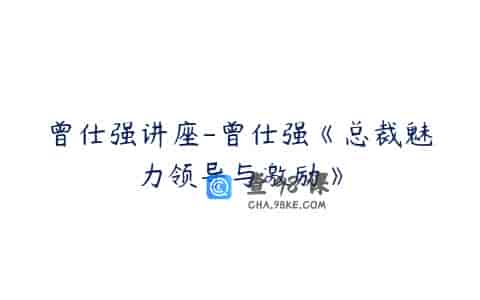 曾仕强讲座-曾仕强《总裁魅力领导与激励》