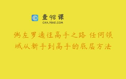 粥左罗通往高手之路•任何领域从新手到高手的底层方法