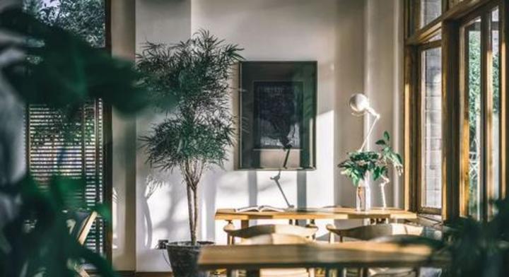 【欧文·亚隆亲授】团体治疗实录与访谈|100%还原现场×10讲 视频课