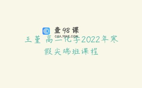 王堇 高二化学2022年寒假尖端班课程