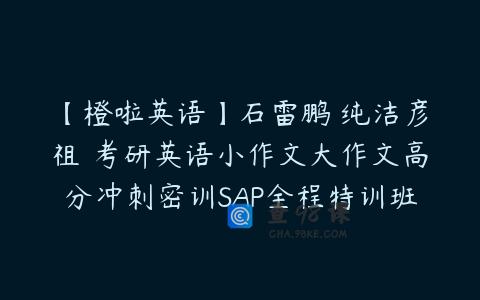 【橙啦英语】石雷鹏 纯洁彦祖 考研英语小作文大作文高分冲刺密训SAP全程特训班（英语一二）