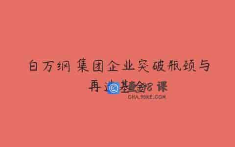 白万纲 集团企业突破瓶颈与再造基金