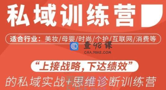 女子刀法《私域流量训练营》上接战略，下达绩效的私域实战+思维诊断训…