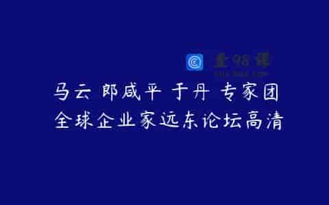 马云 郎咸平 于丹 专家团 全球企业家远东论坛高清
