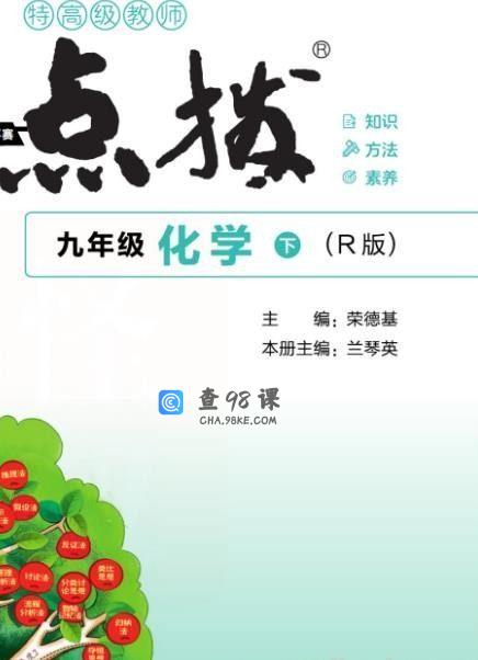 典中点点拨全解人教化学9年级下册PDF文档百度网盘下载