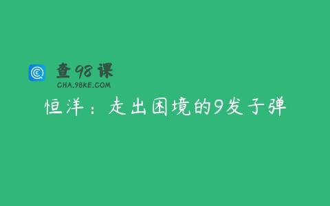 恒洋：走出困境的9发子弹