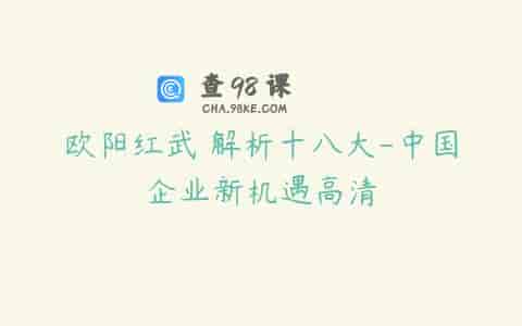 欧阳红武 解析十八大-中国企业新机遇高清
