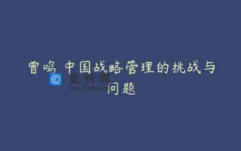 曾鸣 中国战略管理的挑战与问题