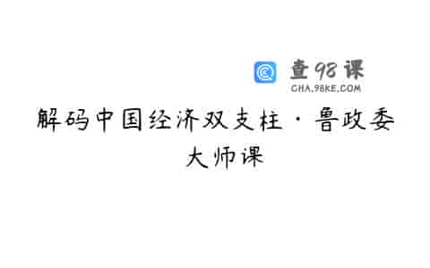 解码中国经济双支柱·鲁政委  大师课