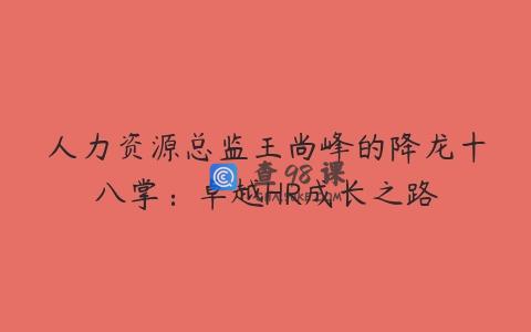人力资源总监王尚峰的降龙十八掌：卓越HR成长之路