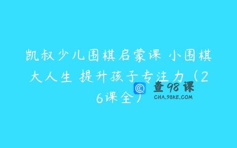 凯叔少儿围棋启蒙课 小围棋大人生 提升孩子专注力（26课全）