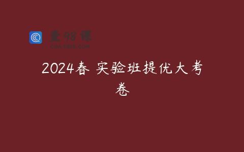 2024春 实验班提优大考卷