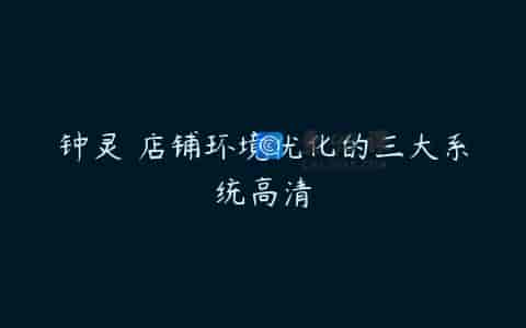 钟灵 店铺环境优化的三大系统高清