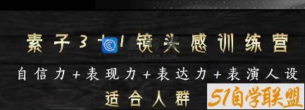 素子表现力训练营，提高自信力+表现力+表达力+表演人设，打造个人魅力ip