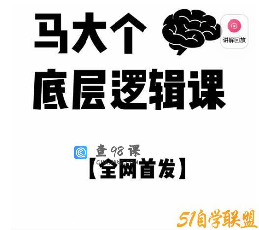 马大个·底层逻辑课，51节底层逻辑智慧课-价值1980元