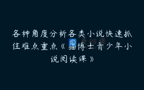各种角度分析各类小说快速抓住难点重点《猫博士青少年小说阅读课》
