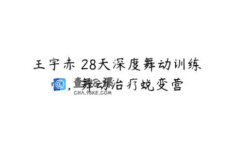 王宇赤 28天深度舞动训练营，舞动治疗蜕变营