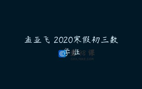 孟亚飞 2020寒假初三数学班