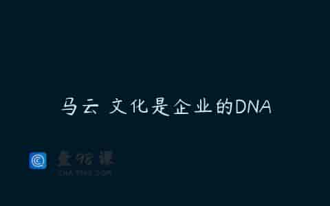 马云 文化是企业的DNA