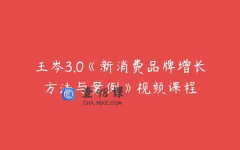 王岑3.0《新消费品牌增长方法与案例》视频课程