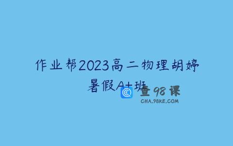 作业帮2023高二物理胡婷暑假A+班