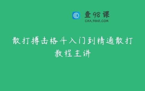 散打搏击格斗入门到精通散打教程主讲