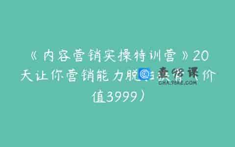 《内容营销实操特训营》20天让你营销能力脱胎换骨（价值3999）