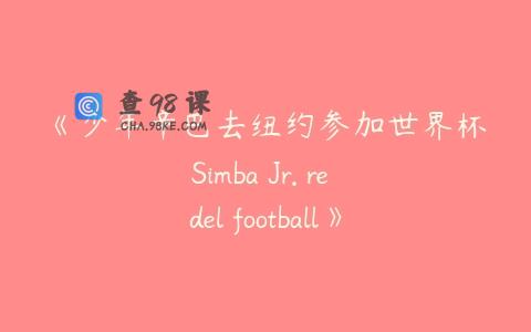 《少年辛巴去纽约参加世界杯Simba Jr. re del football》英文版全26集