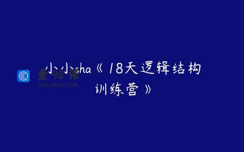 小小sha《18天逻辑结构训练营》