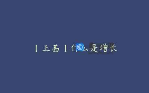【王茜】什么是增长