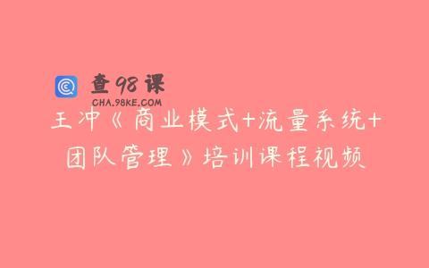 王冲《商业模式+流量系统+团队管理》培训课程视频