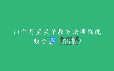 11个月宝宝早教方法课程视频全套（55集）